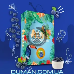Безтютюнова суміш Aloha Blueberry (Алоха Чорниця) 100 гр