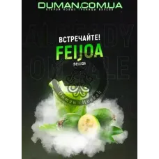 4:20 Feijoa (4:20 Фейхоа) 100г