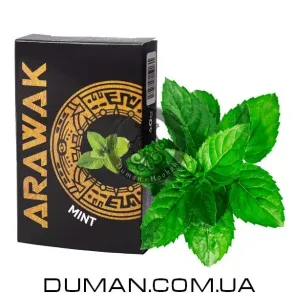 Arawak Mint (Аравак Мята) | 40g