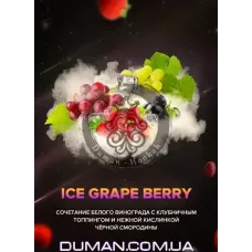 4:20 Ice Grape Berry (4:20 Лед Виноград Ягоды) 100г