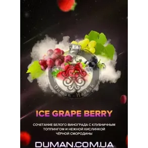 4:20 Ice Grape Berry (4:20 Лед Виноград Ягоды) 100г