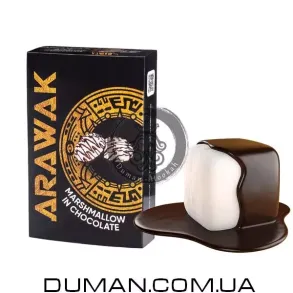 Arawak Marshmallow in Chocolate (Аравак Зефир в Шоколаде) | 40g