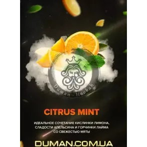 4:20 Citrus Mint (4:20 Цитрус Мята) 250г
