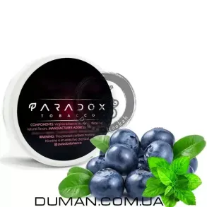 Paradox Blueberry Mint (Парадокс Черника Мята) | 125g
