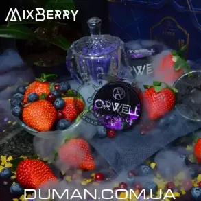 Orwell Mix berry (Орвелл Ягідний Мікс) | Medium 50г