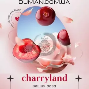 Безтютюнова суміш Indigo Smoke Charryland (Індиго Смоук Вишня Троянда) 100г