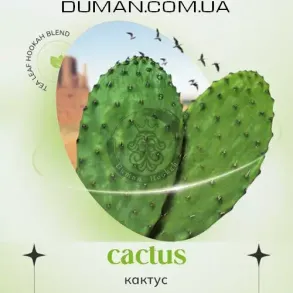 Бестабачная смесь Indigo Smoke Cactus (Индиго Смоук Кактус) 100г