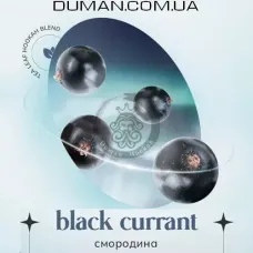 Безтютюнова суміш Indigo Smoke Black Currant (Індиго Смоук Смородина) 100г