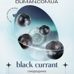 Безтютюнова суміш Indigo Smoke Black Currant (Індиго Смоук Смородина) 100г