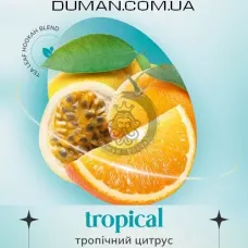 Безтютюнова суміш Indigo Smoke Tropical (Індиго Смоук Тропічний Цитрус) 100г
