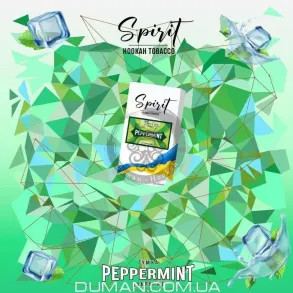 Spirit Peppermint (Спіріт М'ятна Жуйка 