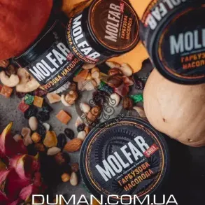 Molfar Гарбузова Насолода (Мольфар Тыква и Пряности) | Chill Line 40г