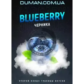4:20 Blueberry (4:20 Чорниця) 40г