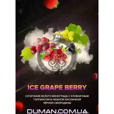4:20 Ice Grape Berry (4:20 Лід Виноград Ягоди) 40г
