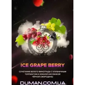 4:20 Ice Grape Berry (4:20 Лід Виноград Ягоди) 40г