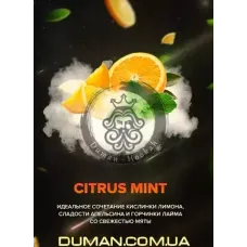 4:20 Citrus Mint (4:20 Цитрус М'ята) 40г
