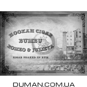 Hookah Cigar Romeo & Julieta in Bumbu 100g