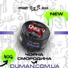 Unity Black Currant (Юніті Чорна Смородина) 40г