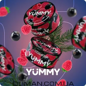 Yummy - Лесные ягоды 100г