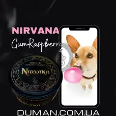 Nirvana Gum Raspberries (Нірвана Жуйка Малина) Light 75г