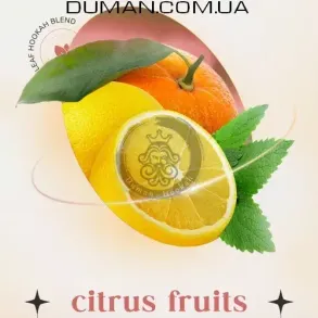 Безтютюнова суміш Indigo Smoke Citrus fruits (Індиго Смоук Цитрус М'ята) 100г