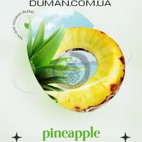 Безтютюнова суміш Indigo Smoke Pineapple Rings (Індиго Смоук Ананасові Кільця) 100г