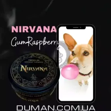 Nirvana Gum Raspberries (Нірвана Жуйка Малина) Hard 75г