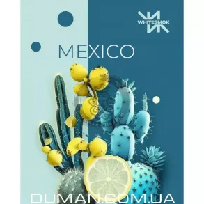 WhiteSmok Mexico (ВайтСмок Кактус Лайм) 50г