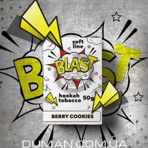 Blast Berry cookies (Бласт Ягодное печенье) Light 50г