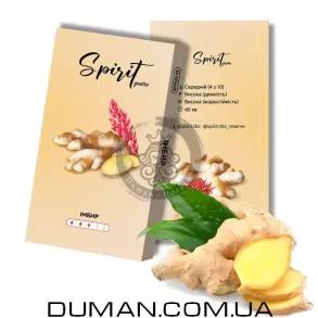Spirit Gastro - Имбирь 40г
