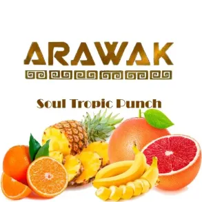 Arawak Soul Tropic Punch (Аравак Тропический Микс) | Пакет 125г