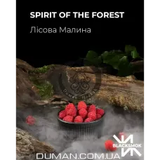 BlackSmok Spirit Of The Forest (БлекСмок Малина) 200г