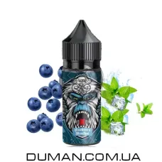 Рідина FL 350 Blueberry Menthol (ФЛ 350 Чорниця Ментол) 30 мл 50 mg
