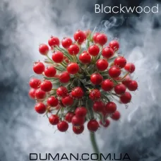BlackWood BARBERRY (БлекВуд Барбарис) Пакет 40г