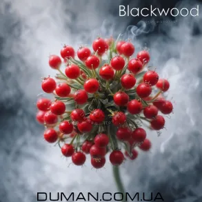 BlackWood BARBERRY (БлекВуд Барбарис) Пакет 40г