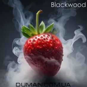 BlackWood STRAWBERRY (БлекВуд Полуниця) Пакет 40г