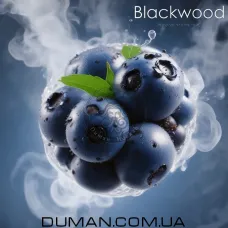 BlackWood BLUEBERRY (БлекВуд Чорниця) Пакет 40г