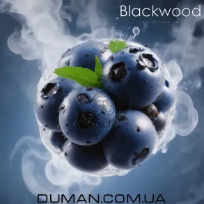 BlackWood BLUEBERRY (БлэкВуд Черника) Пакет 40г