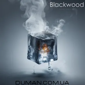 BlackWood ARCTIC (БлекВуд Лід-Холод) Пакет 40г