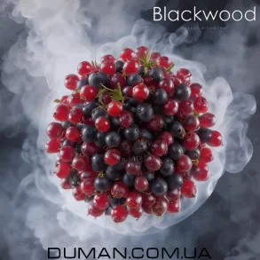 BlackWood HERBAL CURRANT (БлекВуд Смородина Трави) Пакет 100г