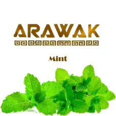 Arawak Mint (Аравак М'ята) | Пакет 125g