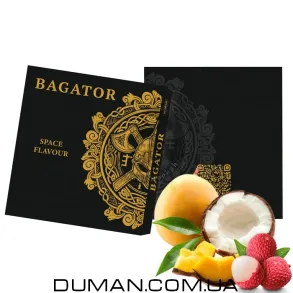 Bagator Space Flavour (Багатор Лічі, Кокос, Манго) 50г
