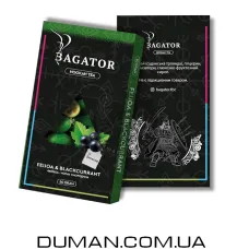 Безтютюнова суміш Bagator Feijoa Blackcurrant (Багатор Фейхоа Чорна Смородина) 50г