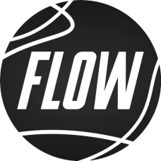 Flow 100г