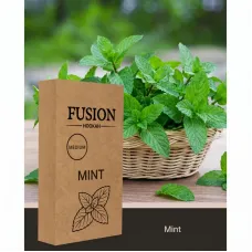 Fusion Mint (Ф'южн М'ята) Medium 100г