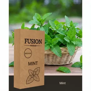 Fusion Mint (Фьюжн Мята) Medium 100г
