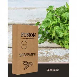 Fusion Spearmint (Фьюжн Мятная Жвачка) Classic 100г