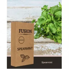 Fusion Spearmint (Ф'южн М'ятна Жуйка) Medium 100г