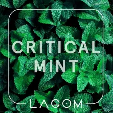 Lagom Critical Mint (Лагом М'ята) Main 250g