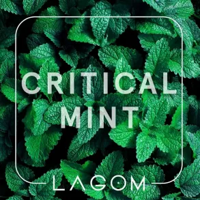 Lagom Critical Mint (Лагом М'ята) Main 40g